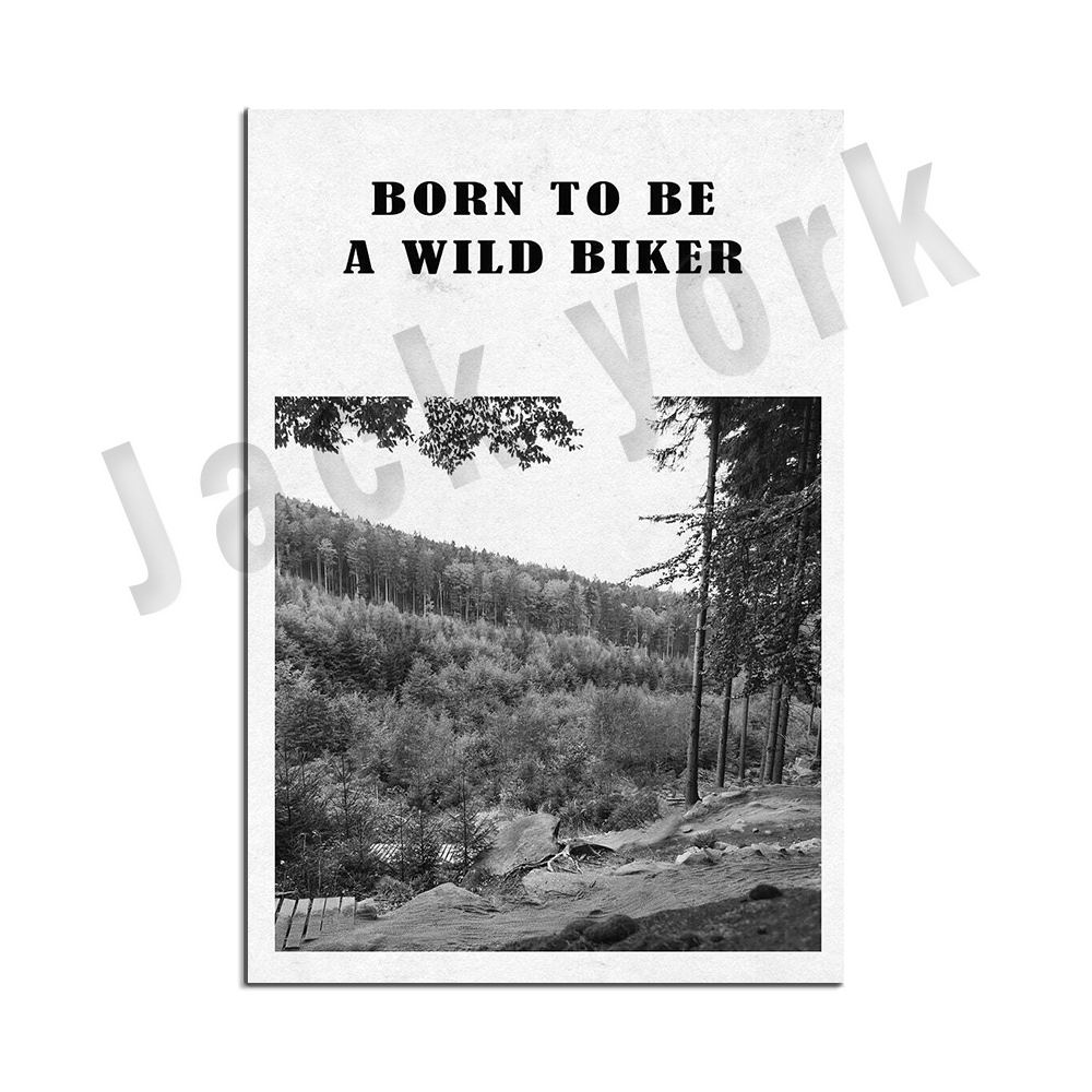 mountain bike art, bike poster - đánh giá và giá Mountain Biking York
